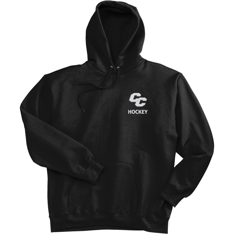 Curry College Ultimate Cotton - Pullover Hooded Sweatshirt