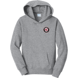 Westchester Express Youth Fan Favorite Fleece Pullover Hooded Sweatshirt